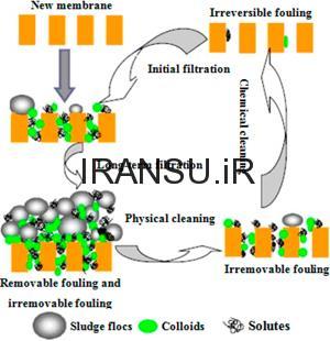 لای‌ گرفتگی ممبرین