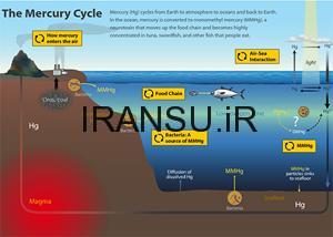 جیوه زدایی از آب