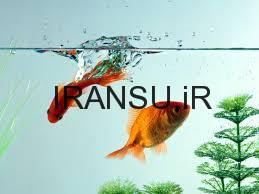 آب مناسب براِی مصرف در آکوآریوم