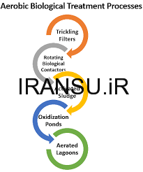 فرایند تصفیه بیولوژیکی تصفیه فاضلاب