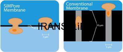 انواع صفحات ممبراین ها  و چمبر